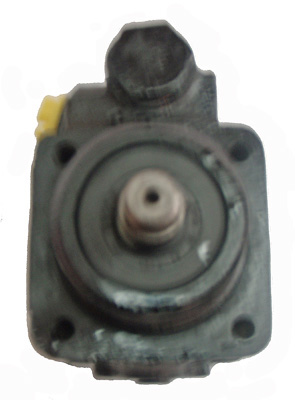 LIZARTE 04.45.0320 Hydraulikpumpe, Lenkung für VW