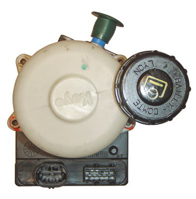 LIZARTE 04.55.1205 Hydraulikpumpe, Lenkung für DACIA