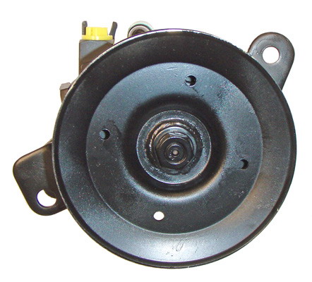 LIZARTE 04.75.0100 Hydraulikpumpe, Lenkung für FORD NISSAN