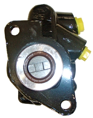 LIZARTE 04.85.0130 Hydraulikpumpe, Lenkung für CITROËN FIAT IVECO PEUGEOT
