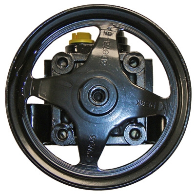 LIZARTE 04.88.0258-1 Hydraulikpumpe, Lenkung für JAGUAR