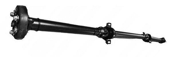 LIZARTE PS0010 Gelenkwelle, Achsantrieb für RENAULT