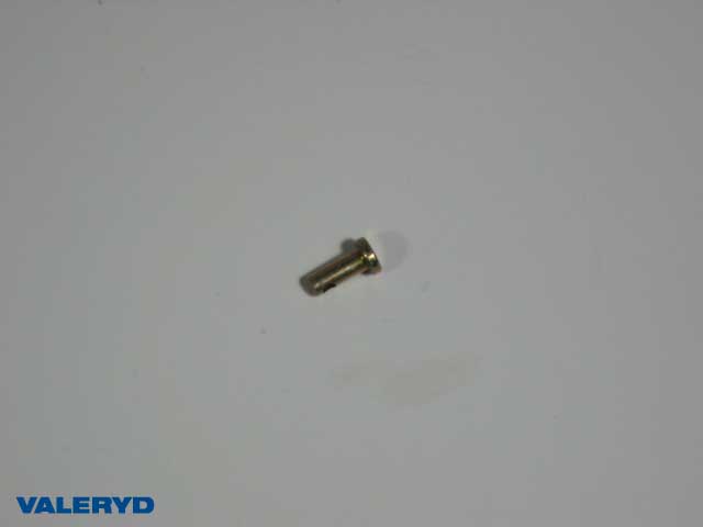 Valeryd 1122001 Bolzen für Nockenfeder Rückmatikhebel, Trommelbremse (Anhänger)