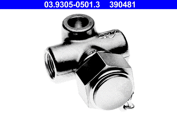 ATE 03.9305-0501.3 Prüfanschluss, Rohrleitungen