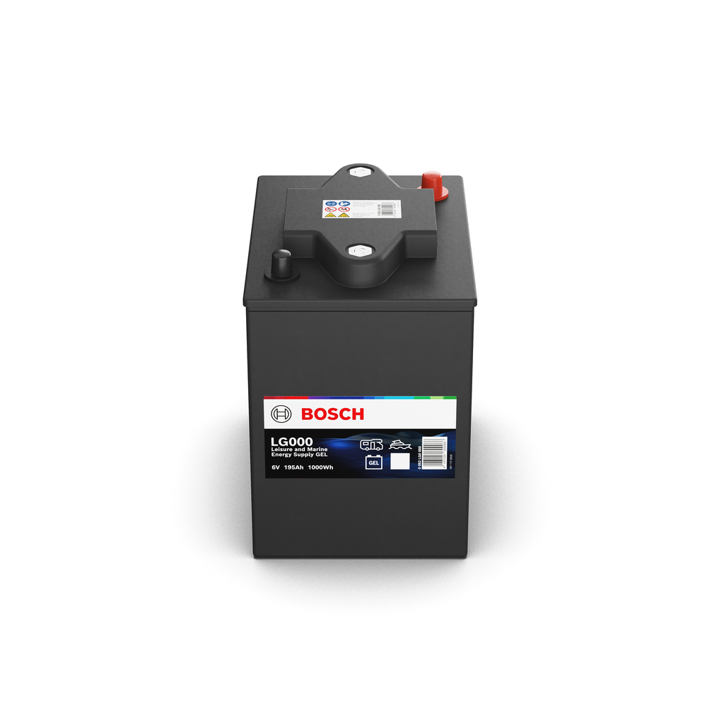 Starter Battery