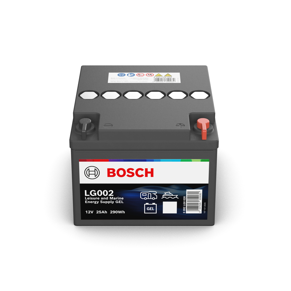 Starter Battery