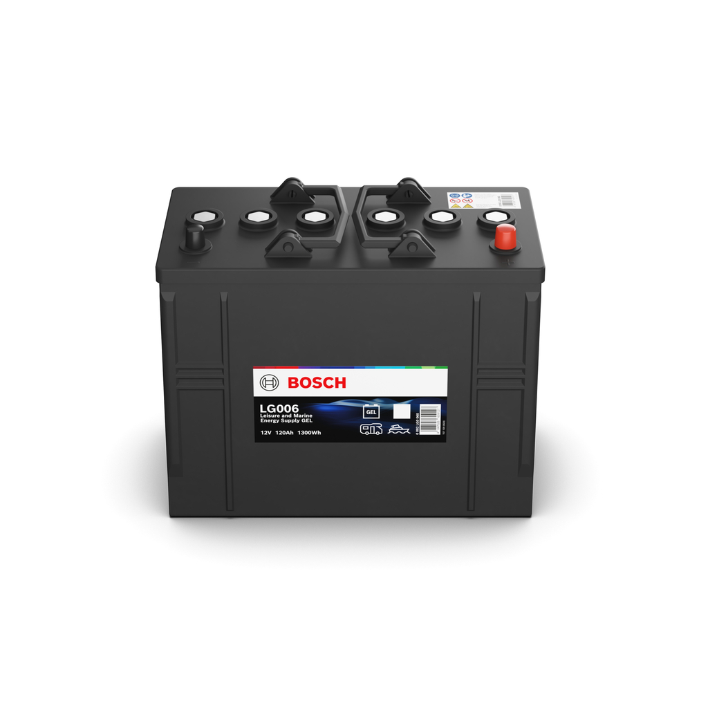 Starter Battery
