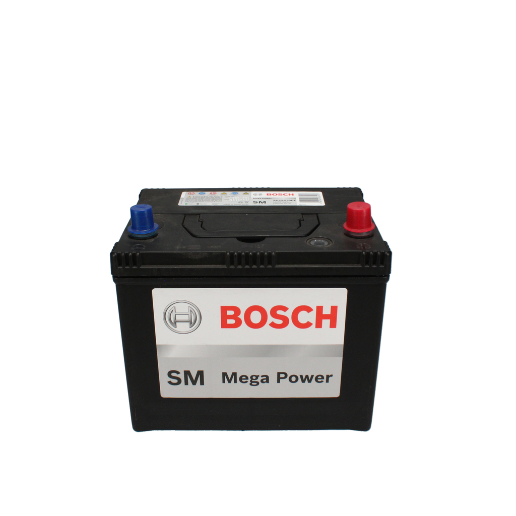 Starter Battery