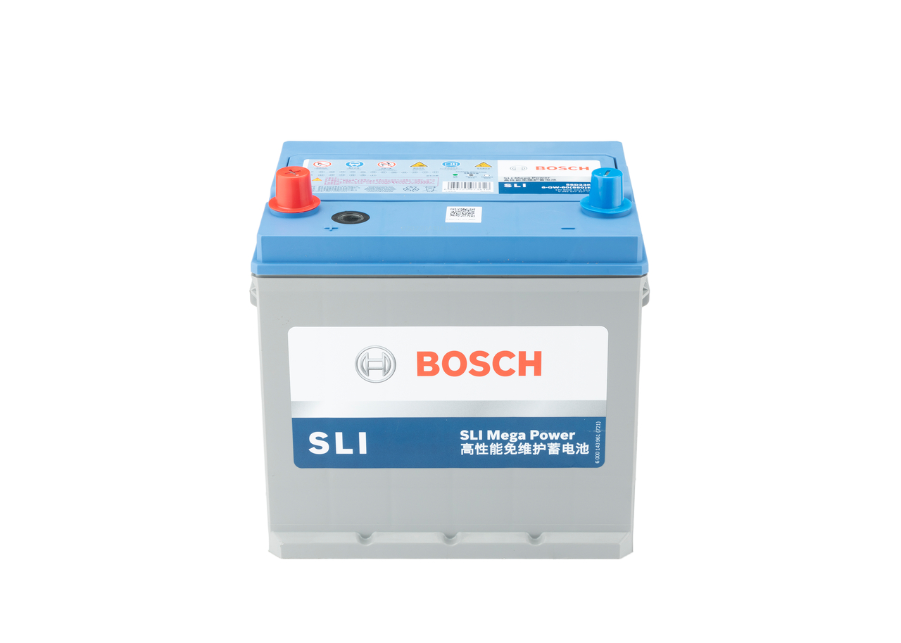 Starter Battery