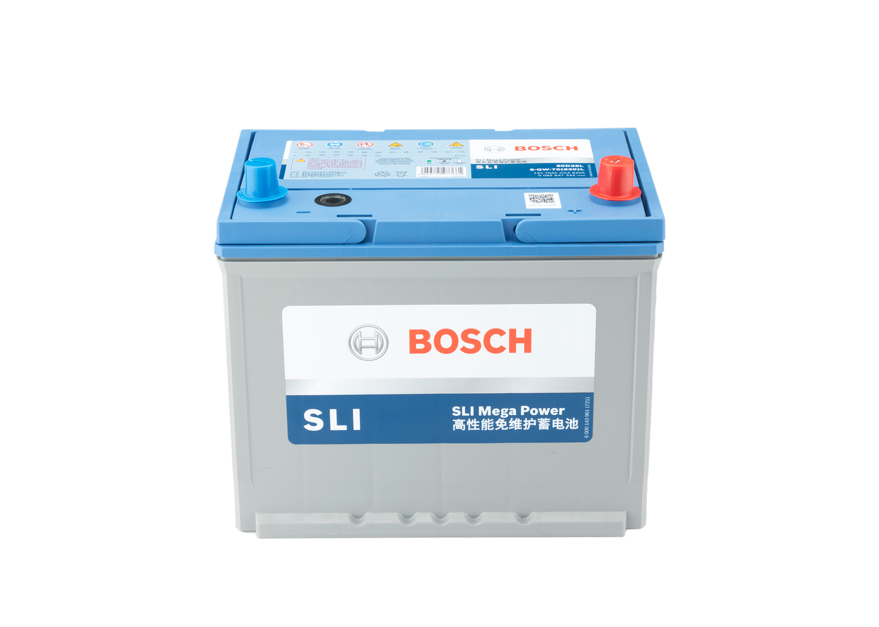 Starter Battery