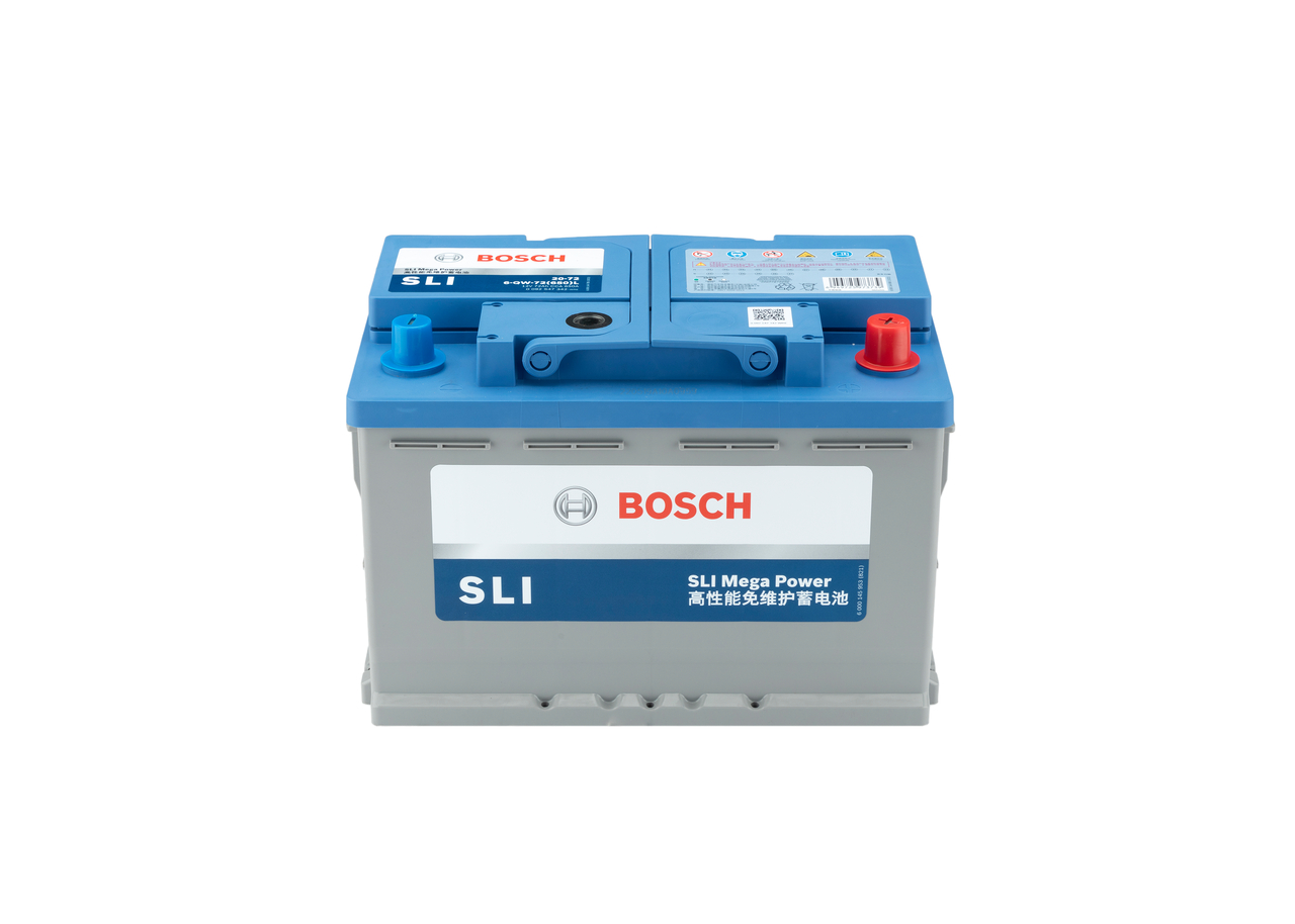 Starter Battery