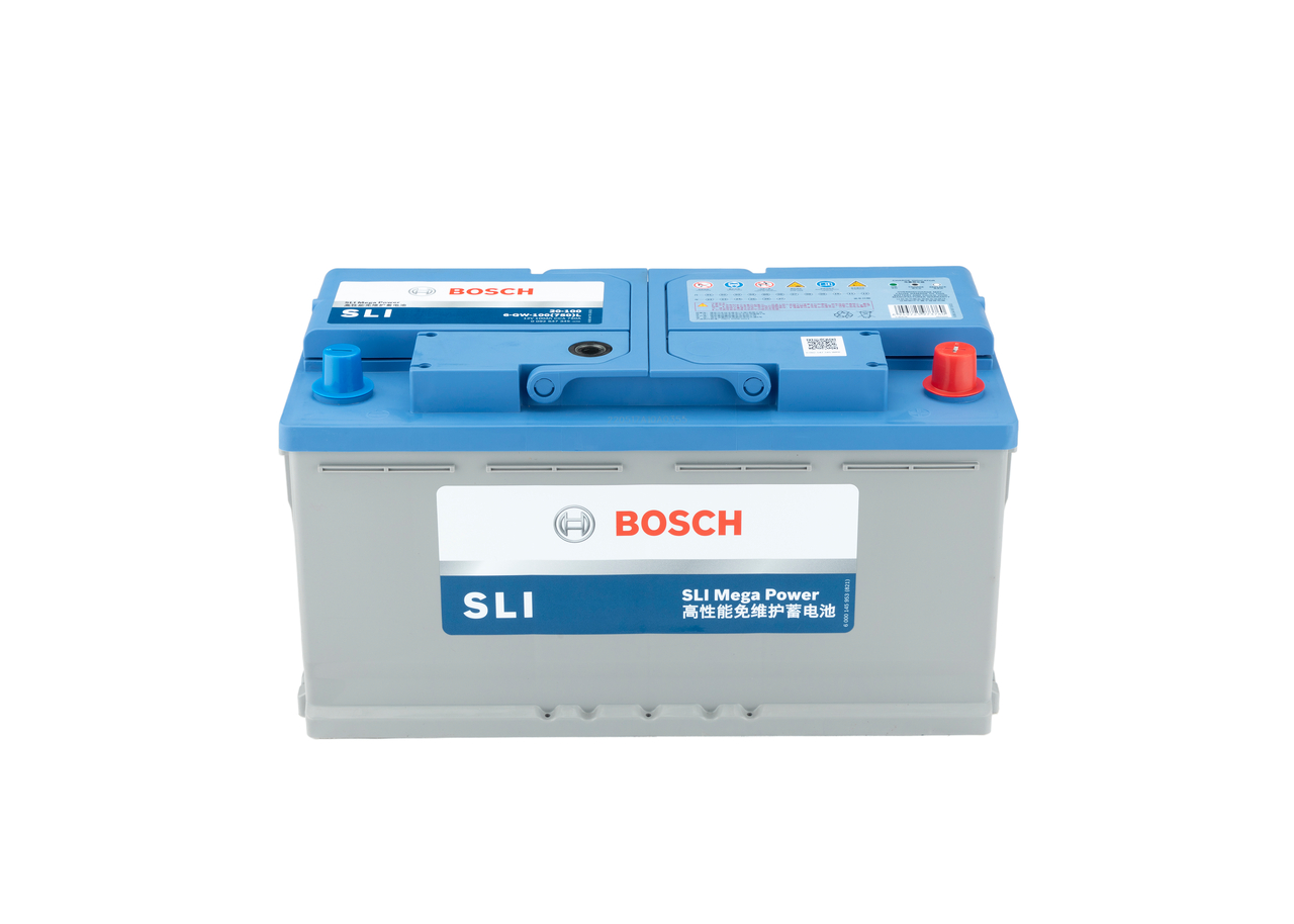 Starter Battery