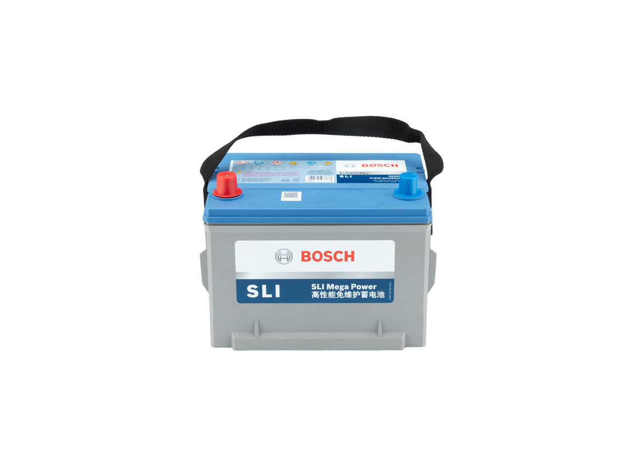 Starter Battery
