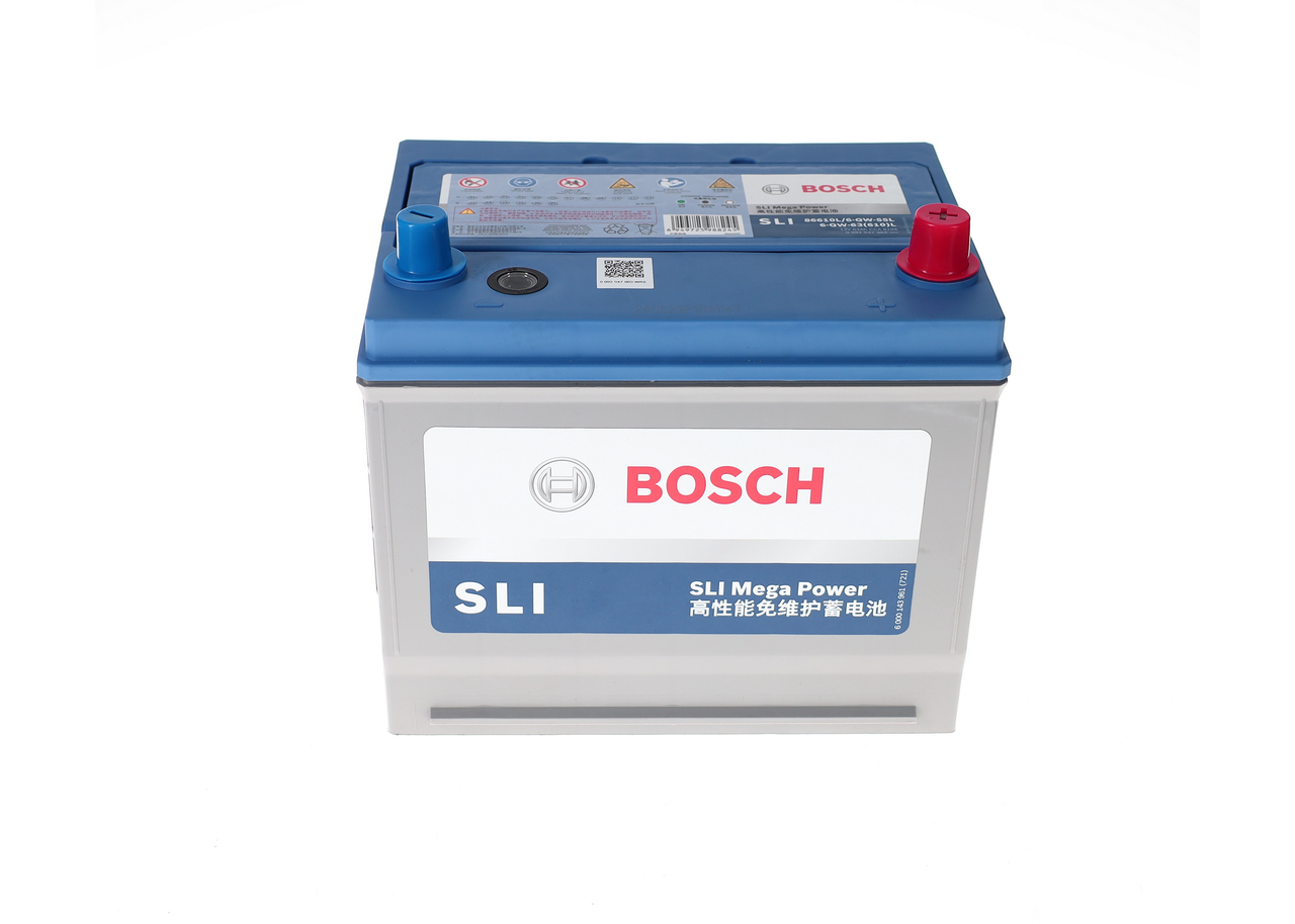 Starter Battery