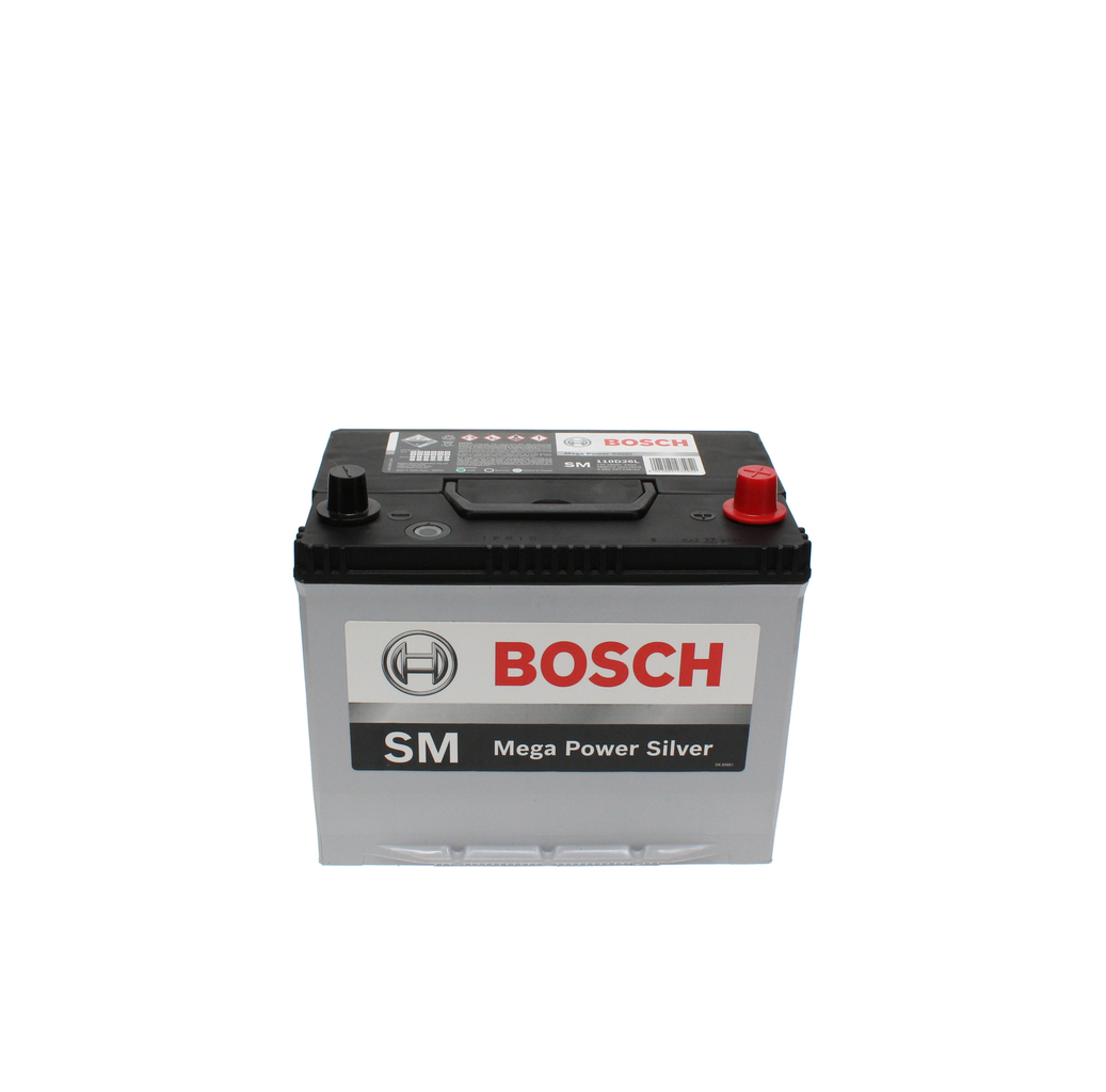 Starter Battery