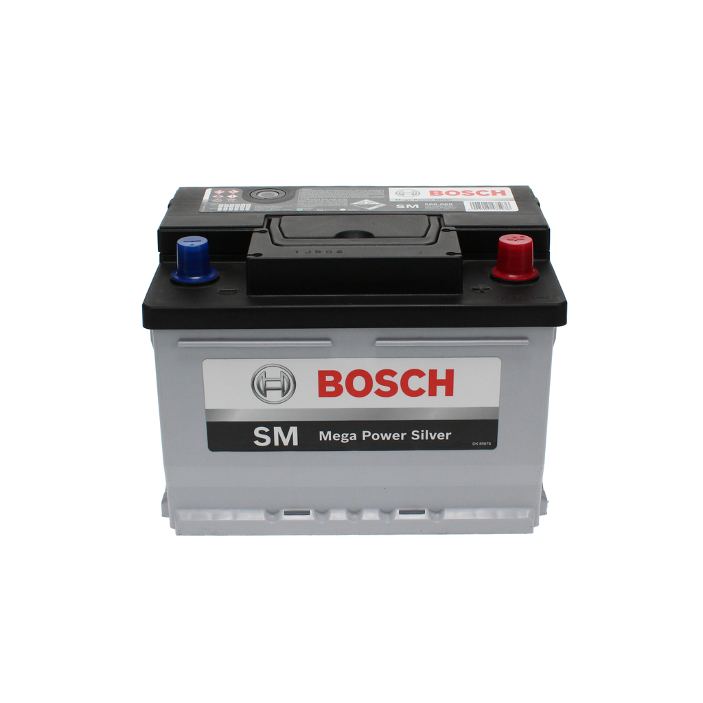Starter Battery