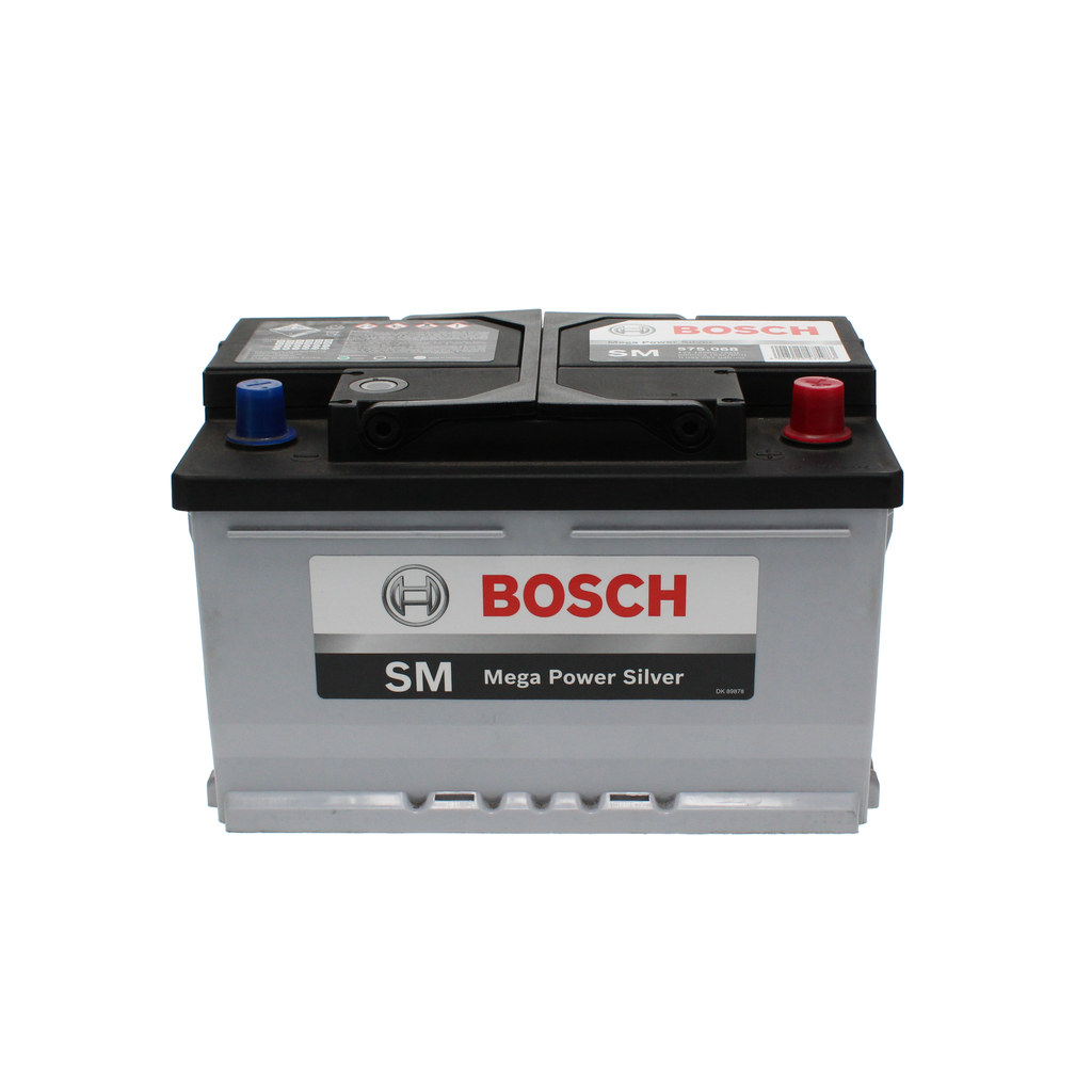 Starter Battery