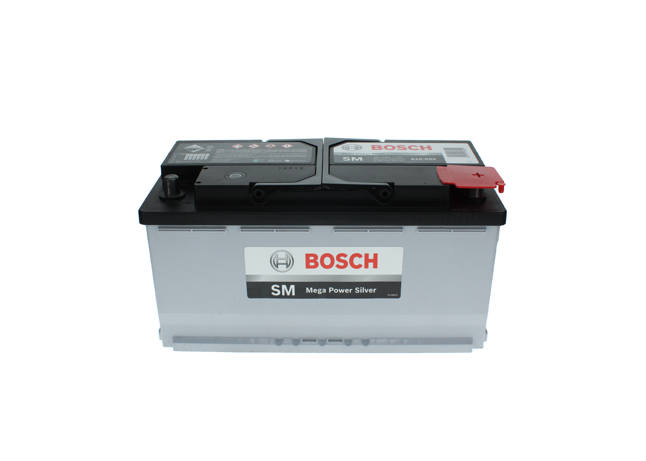 Starter Battery