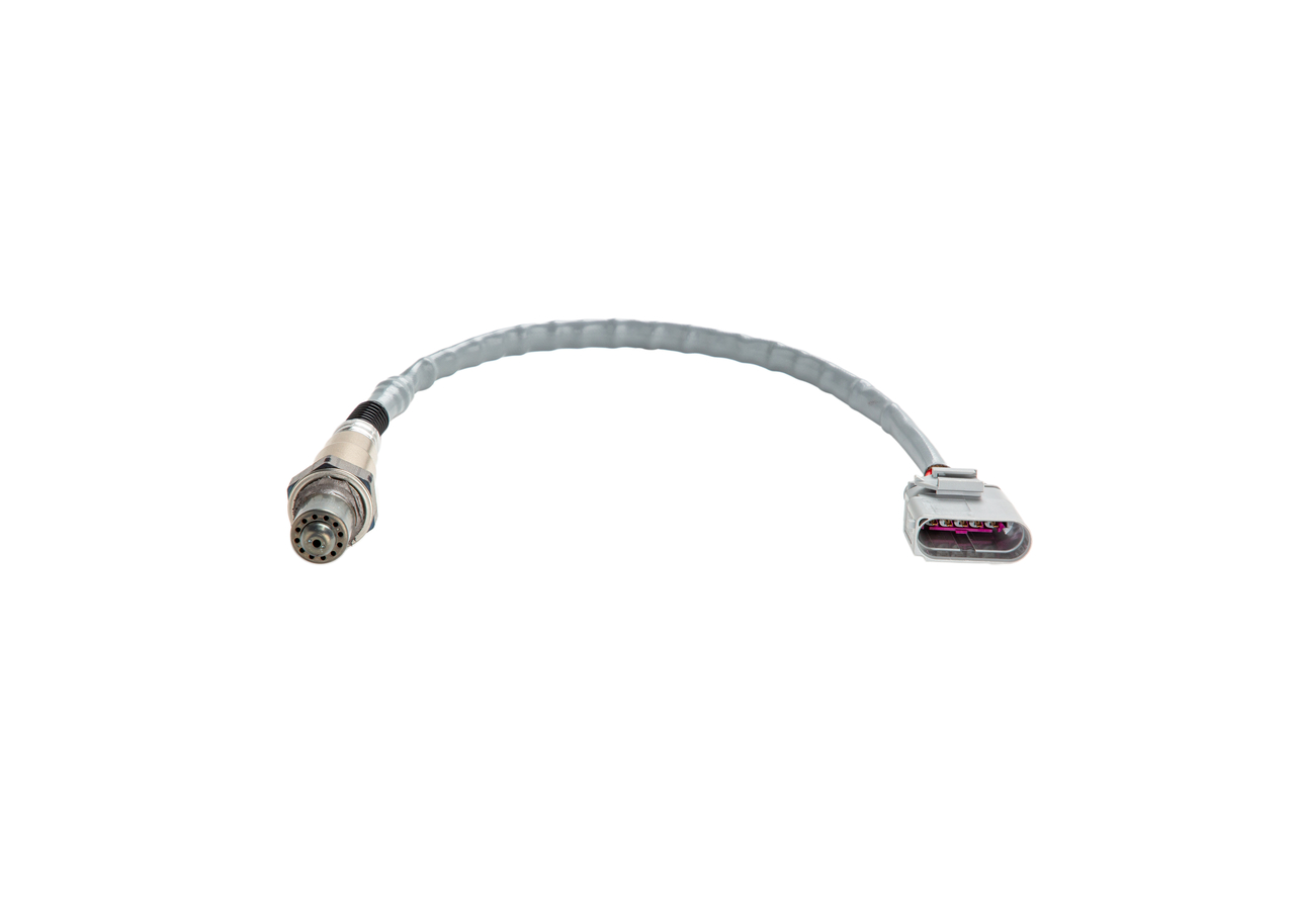 Oxygen Sensor