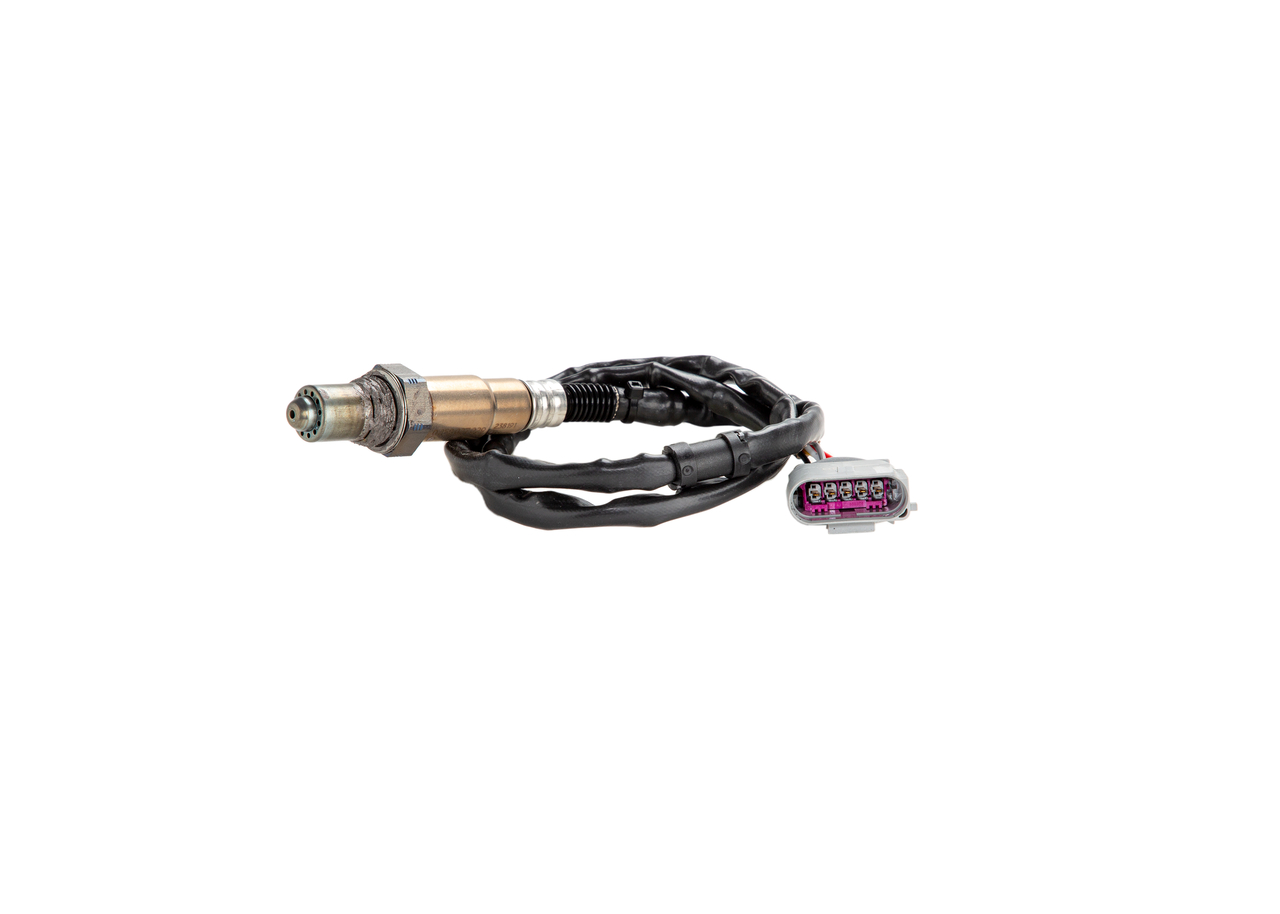 Oxygen Sensor