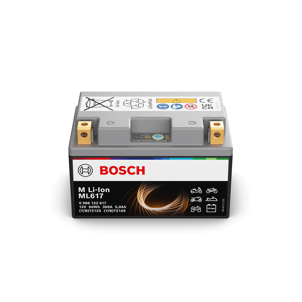 Starter Battery 2