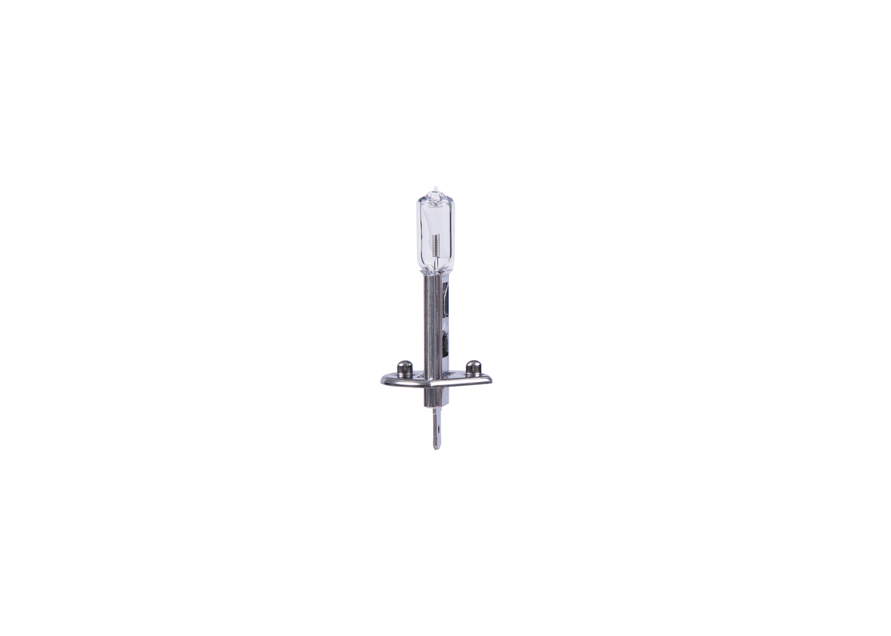Bulb 4