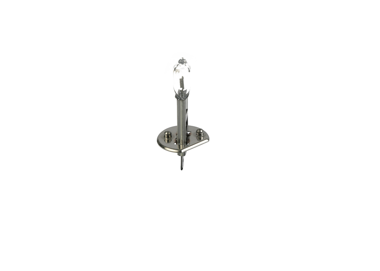 Bulb 4