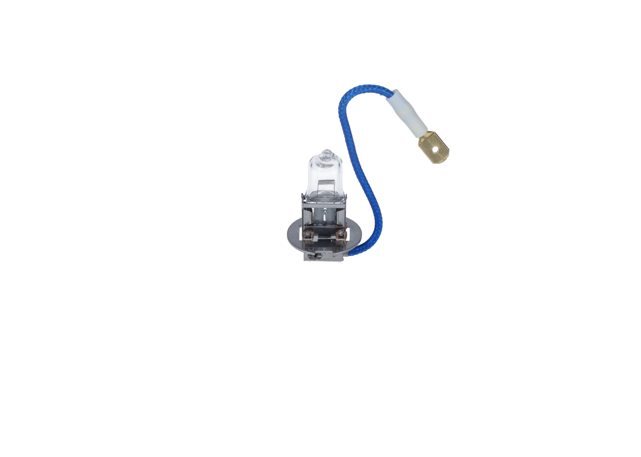 Bulb