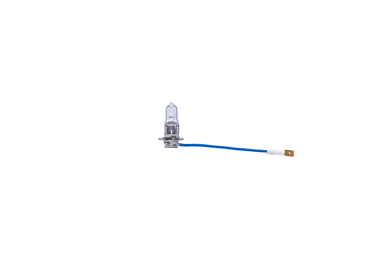 Bulb