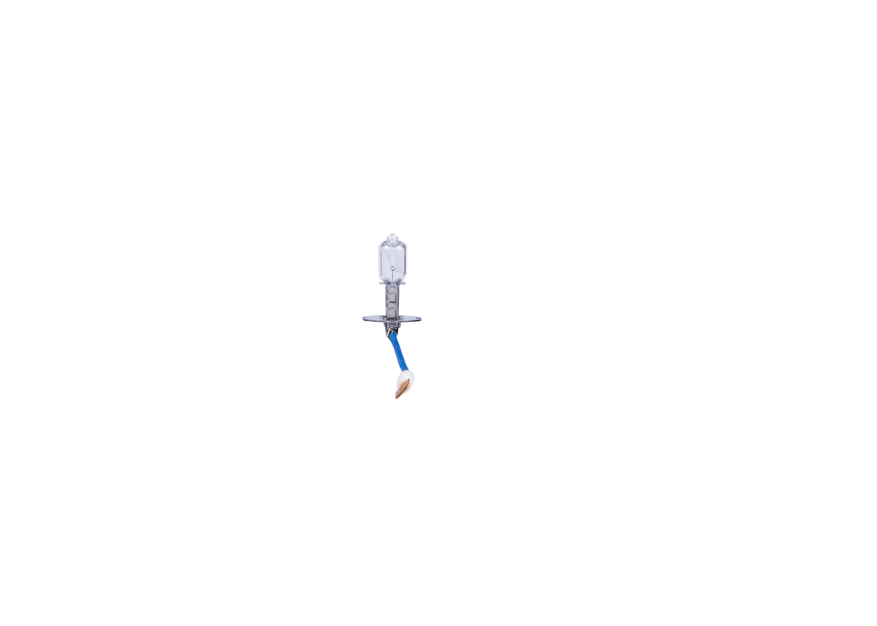 Bulb 2