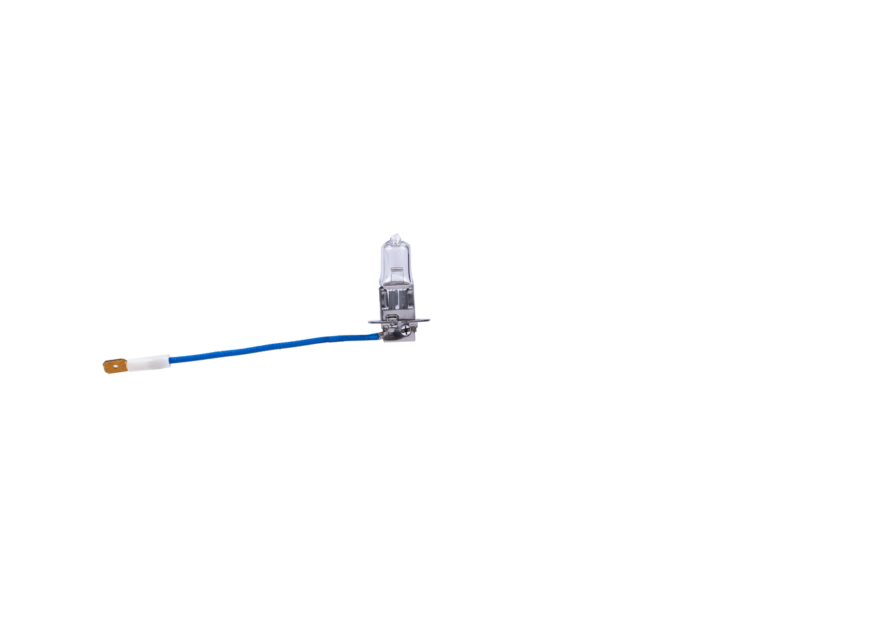 Bulb 3