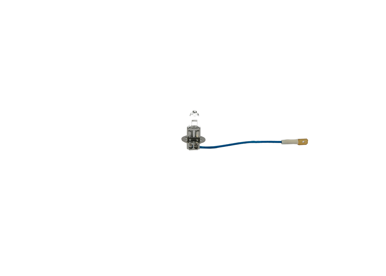Bulb
