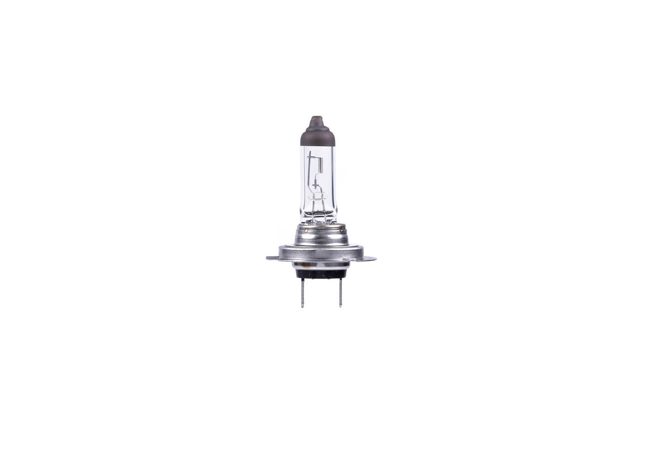 Bulb 4
