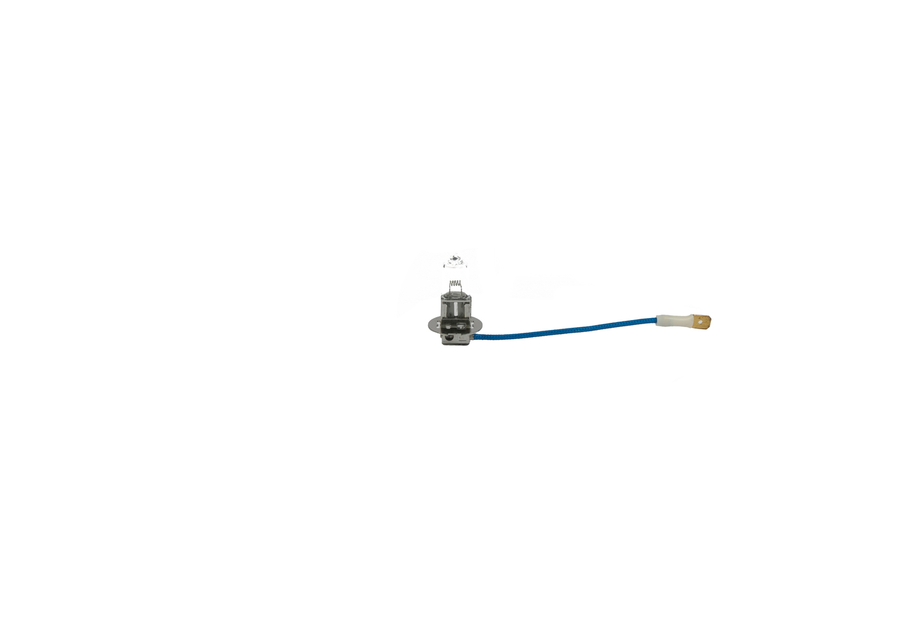Bulb