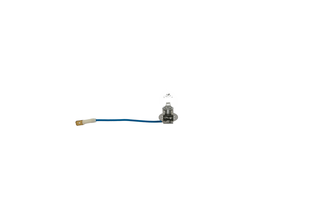 Bulb 3