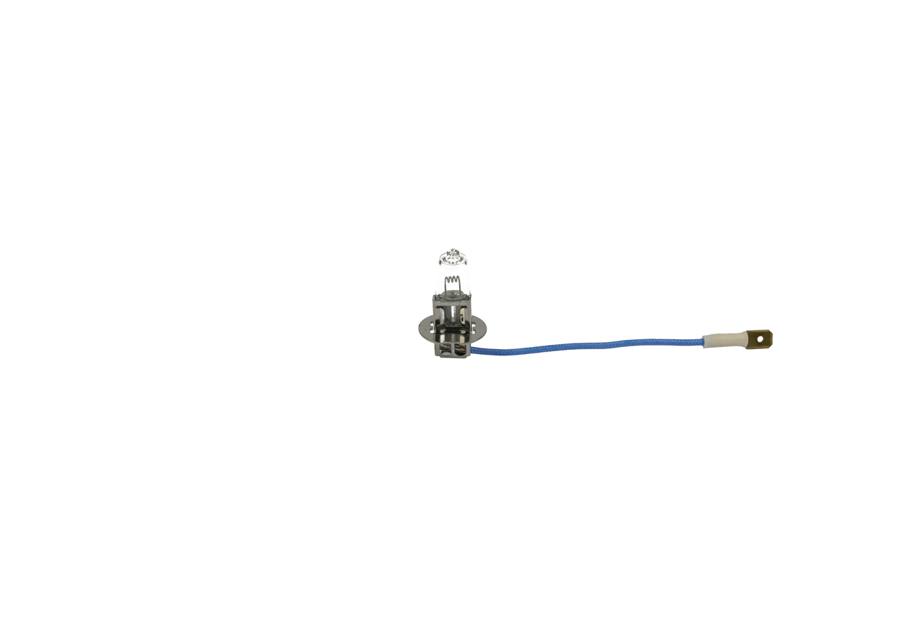 Bulb