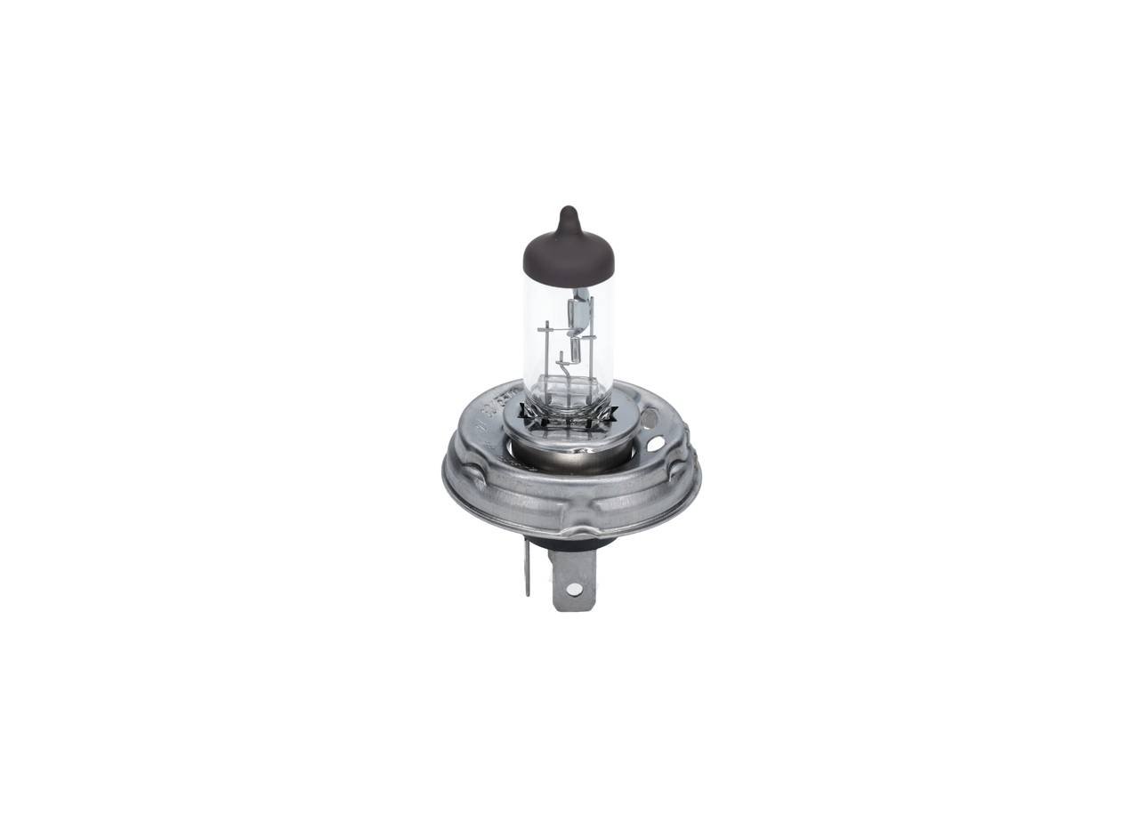 Bulb 4