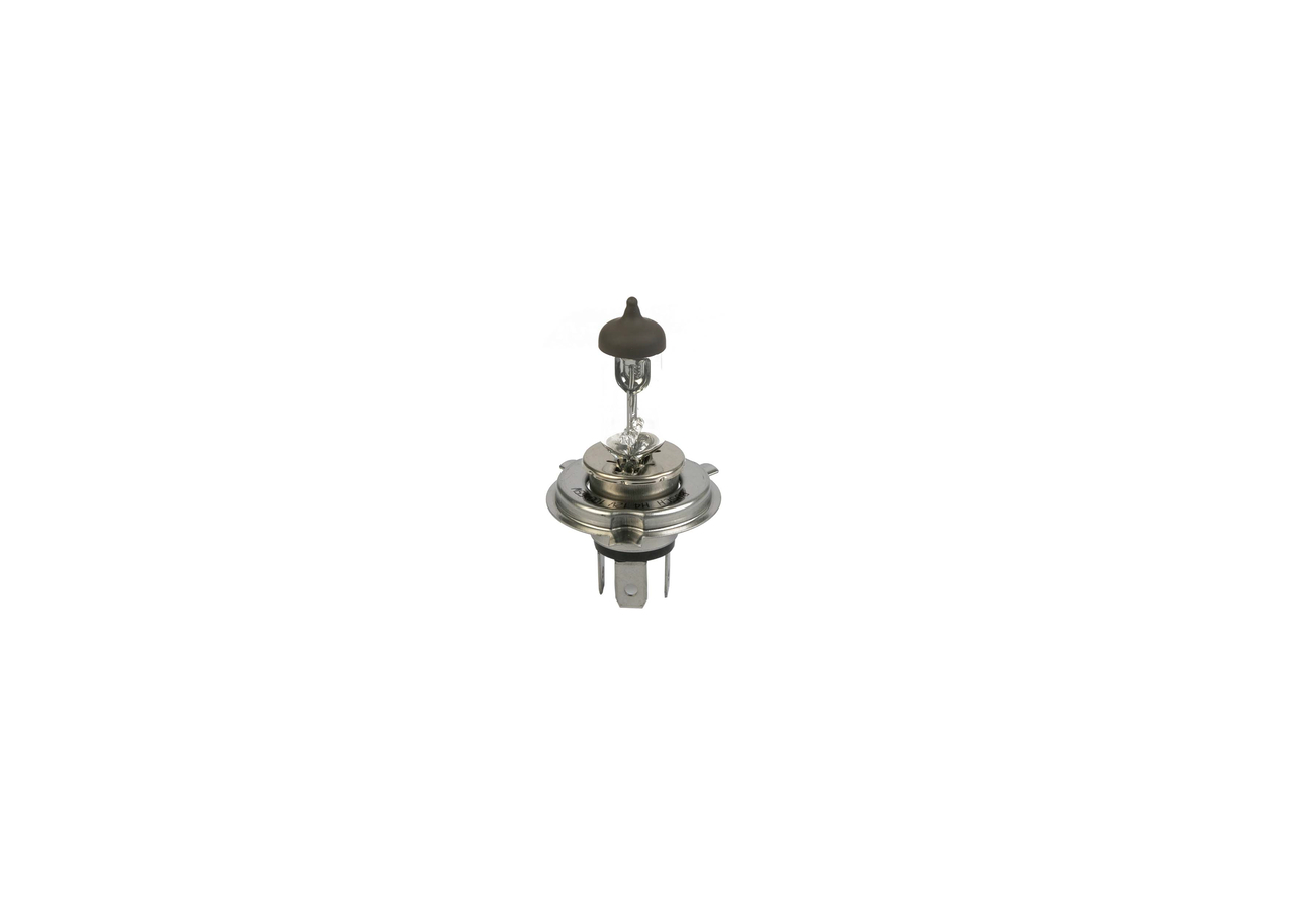 Bulb 4