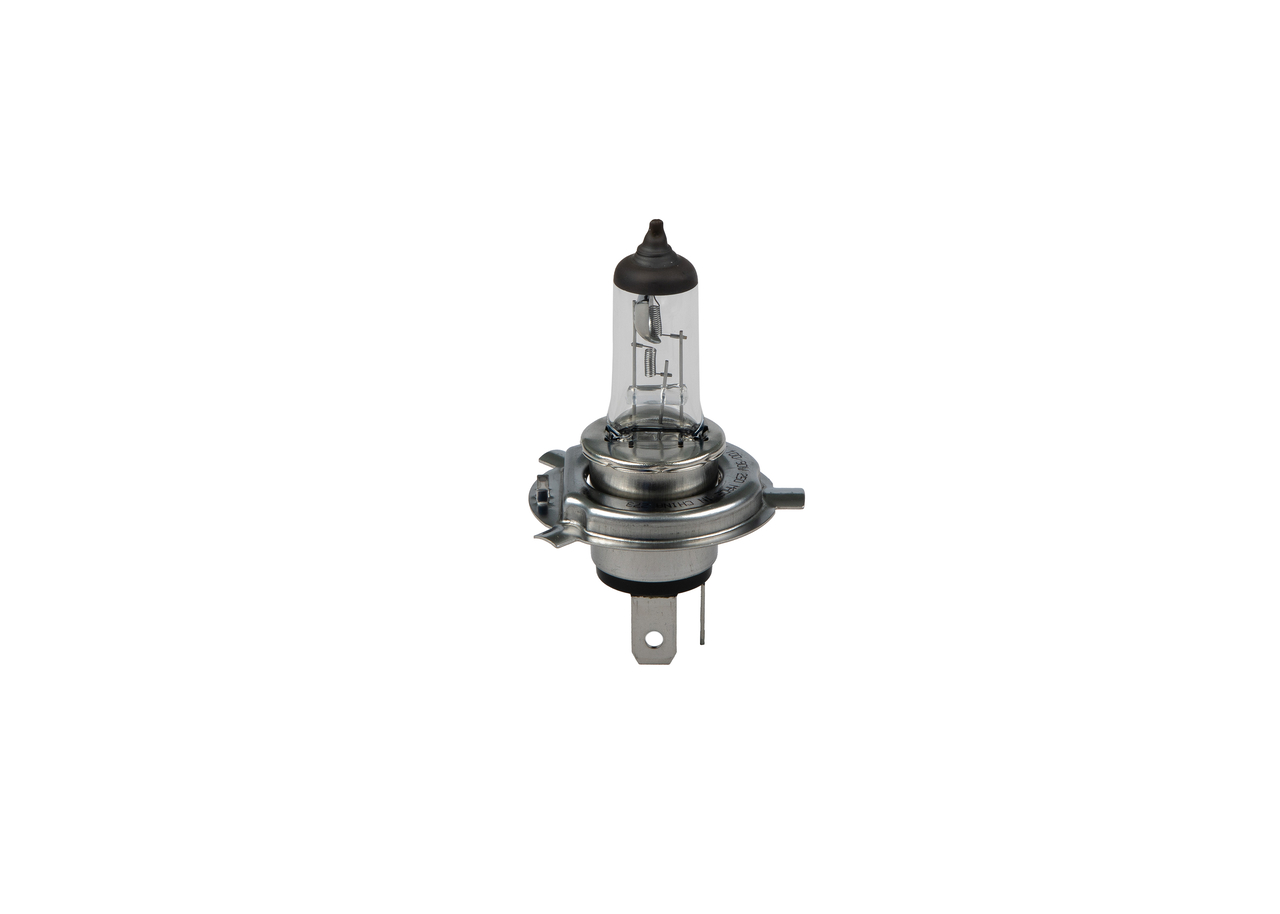 Bulb 4