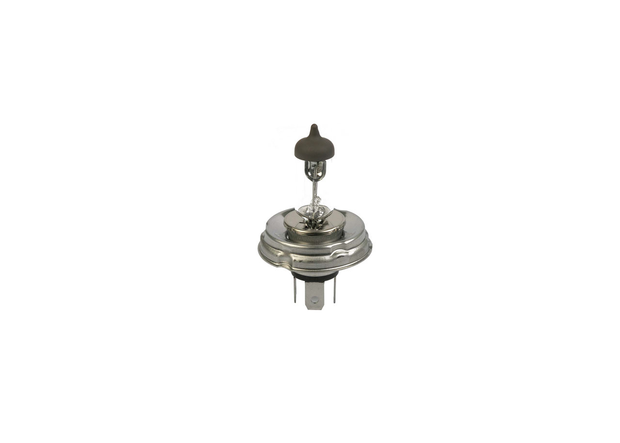 Bulb 4