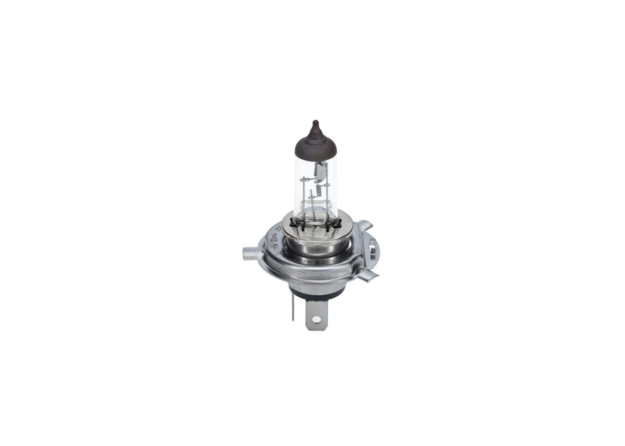 Bulb 4