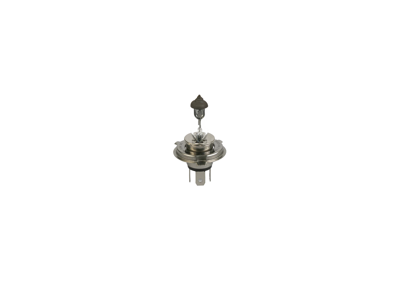 Bulb 4