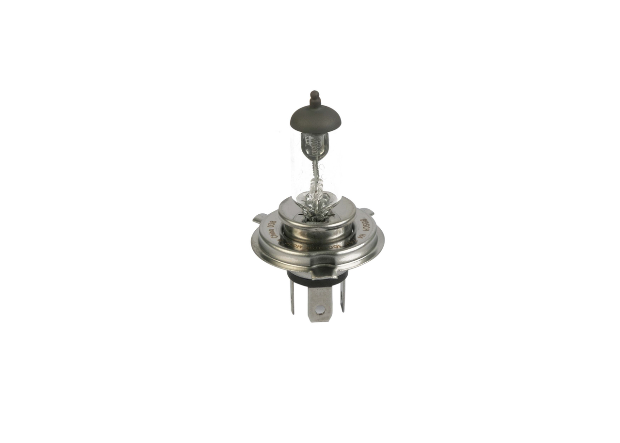 Bulb 4