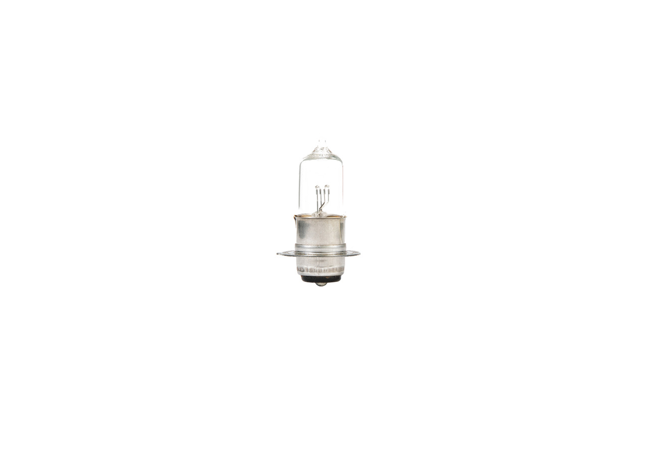 Bulb 4