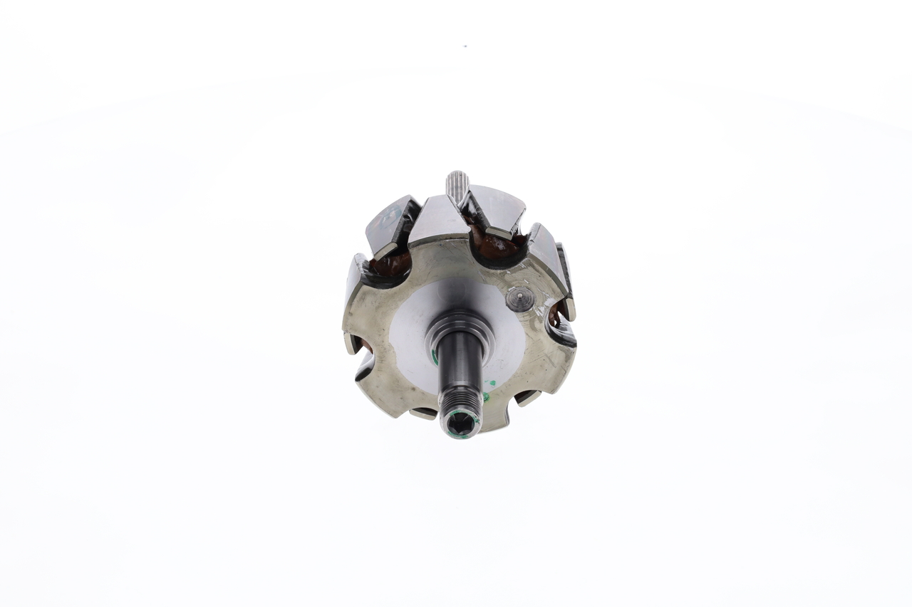 Rotor, alternator 4
