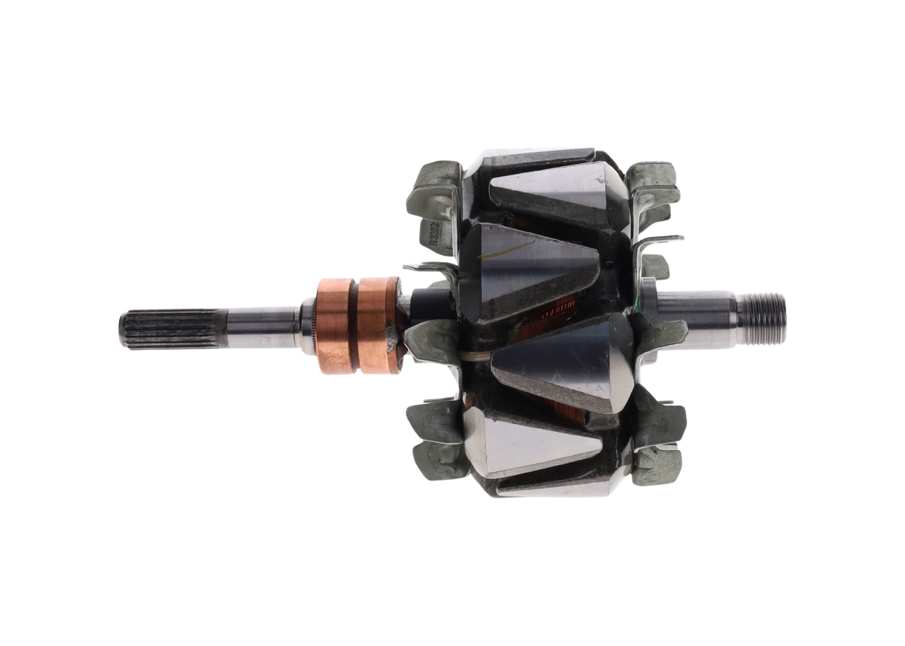 Rotor, alternator