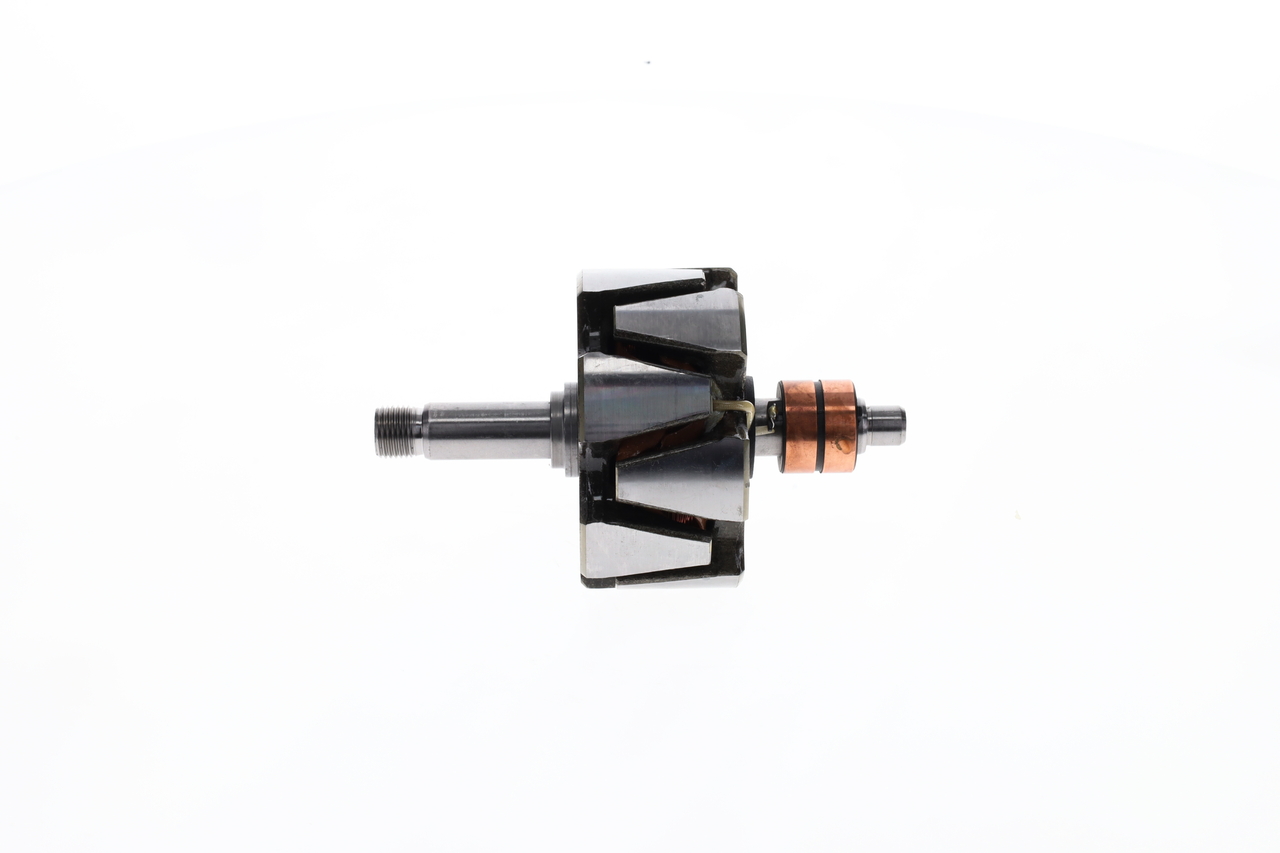 Rotor, alternator
