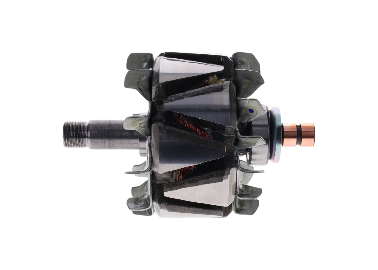 Rotor, alternator