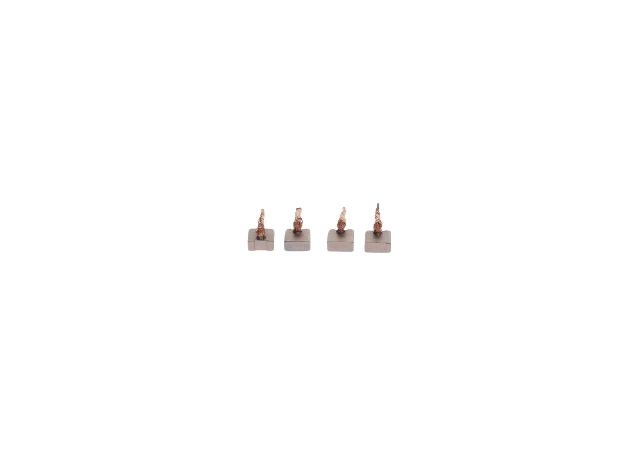 BOSCH 1 986 SE2 209 Βούρτσα κάρβουνου, γεννήτρια