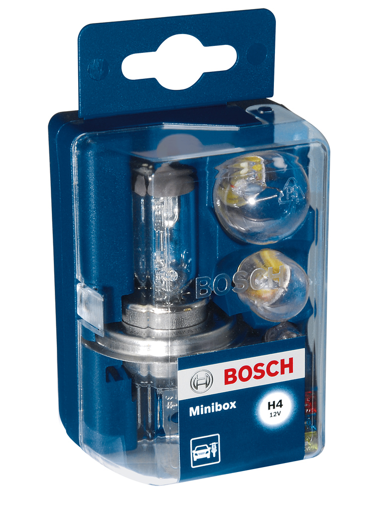 Bulbs Assortment